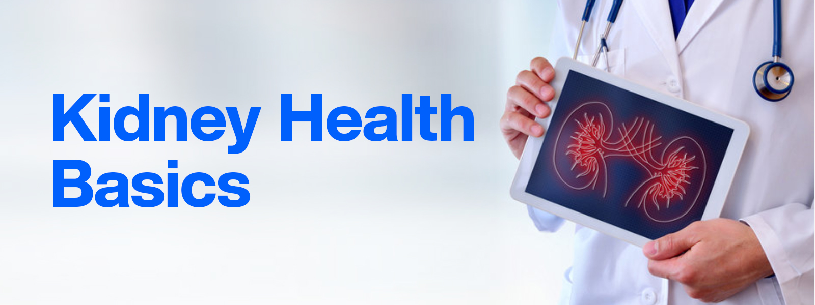 Banner_KidneyHealthBasics.jpg