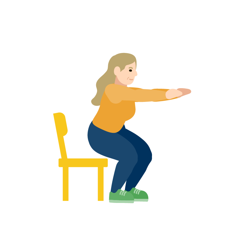 ExerciseIllustration_ChairSquat2.png