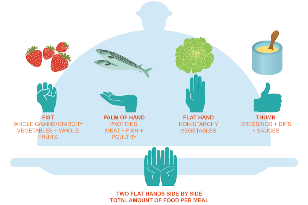 A diagram of different types of food

Description automatically generated