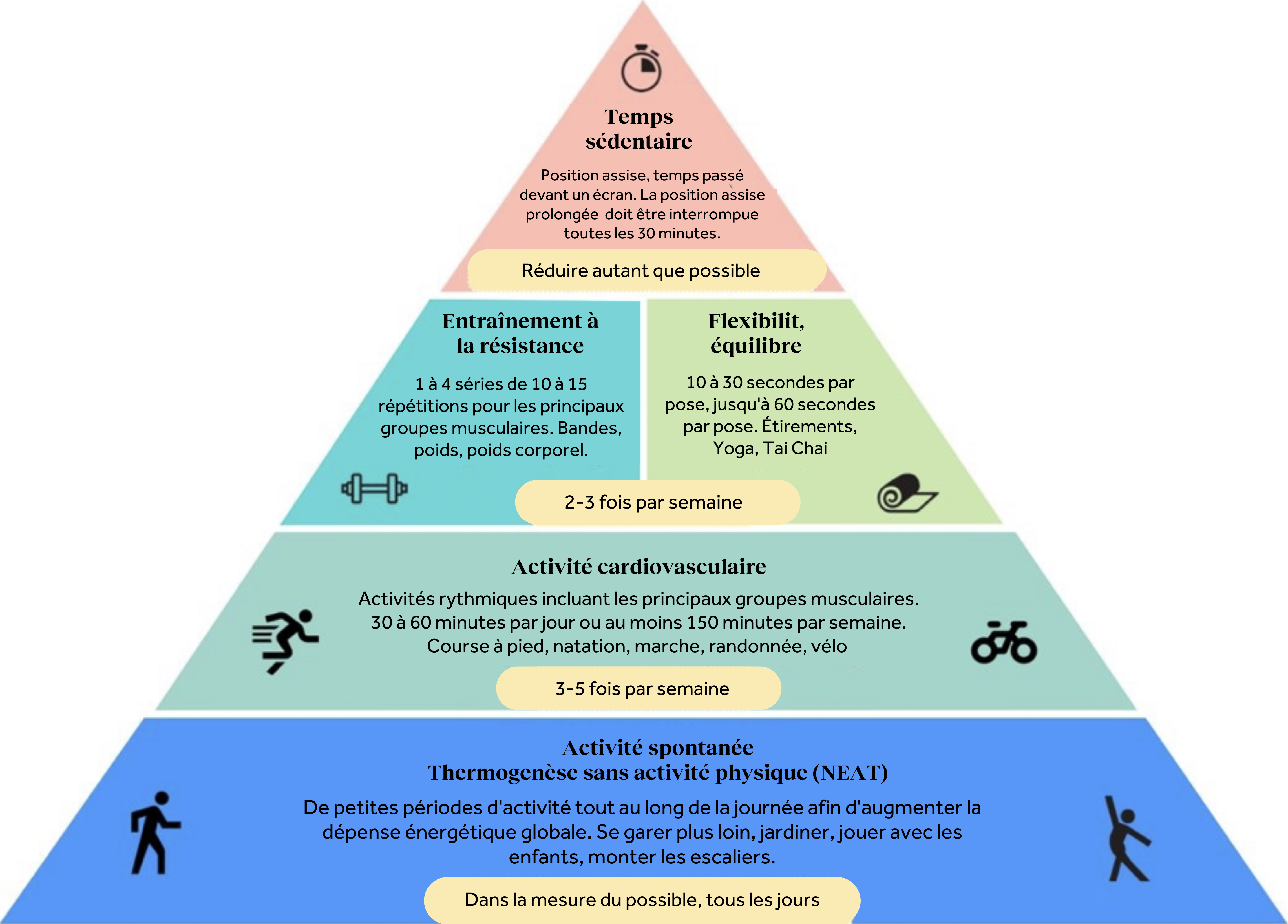 Physical Activity.png
