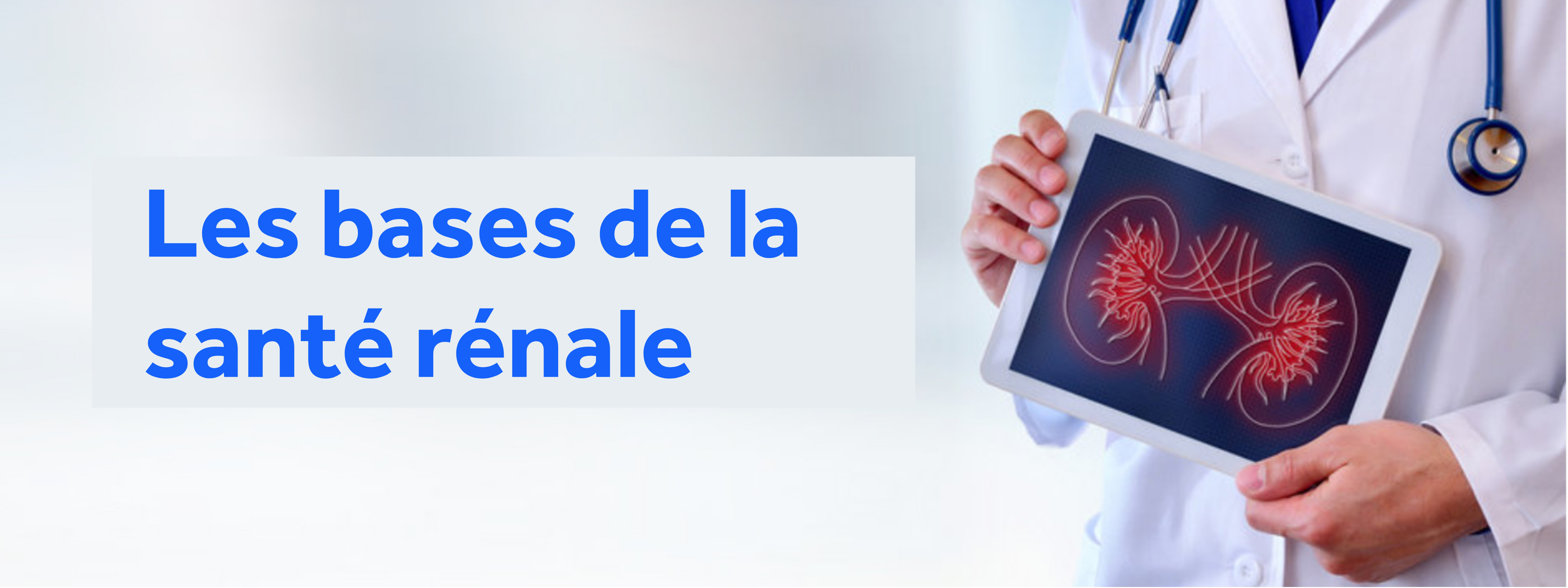 Kidney health basics.png